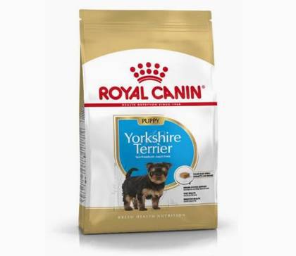 Ração para cachorros da raça Yorkshire Terrier.