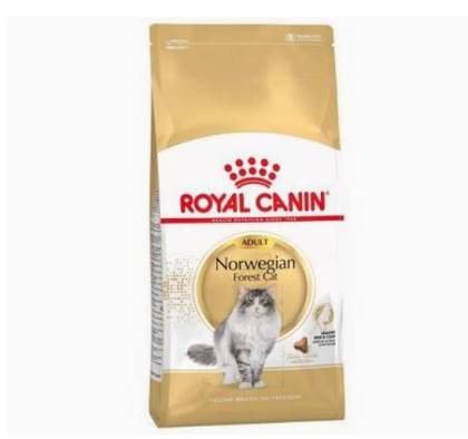 Ração específica para gatos da raça Floresta Norueguesa.