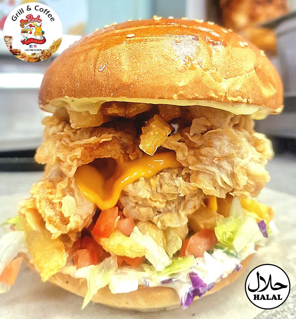 ZENGER BURGER McR