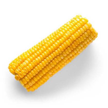 Kukurydza 1 szt