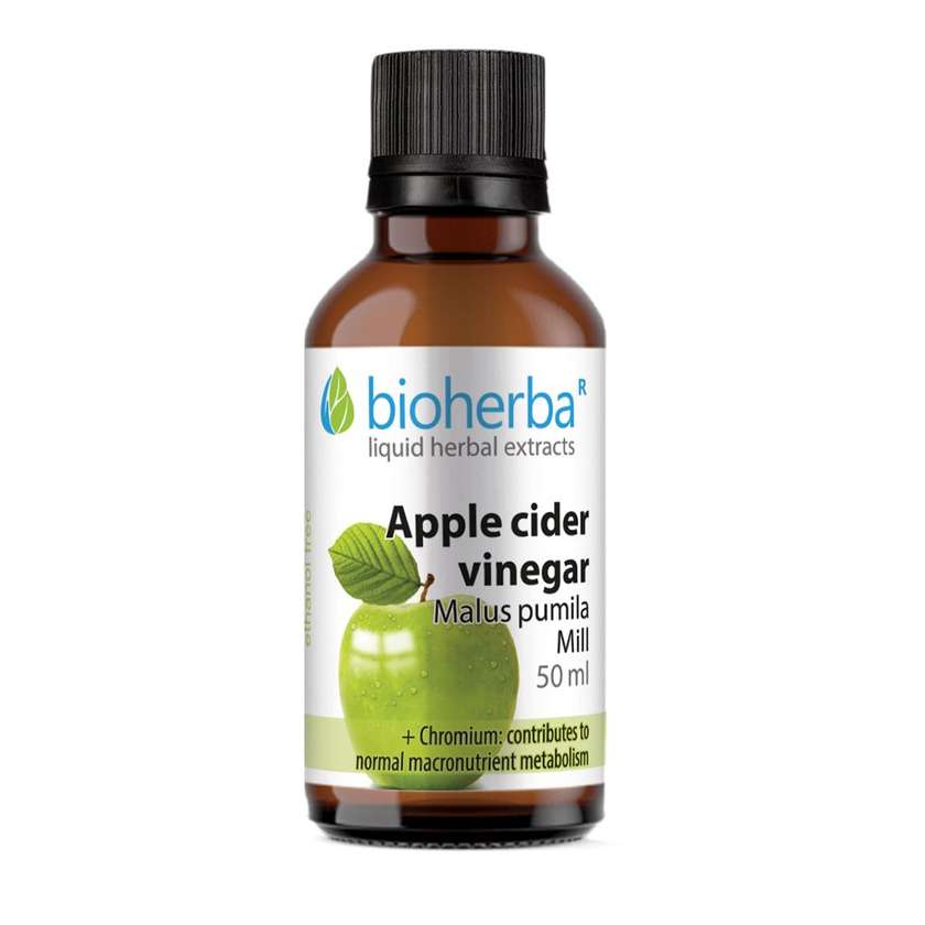 9993078 Apple Cider Vinegar Tincture, 50 ml, Bioherba