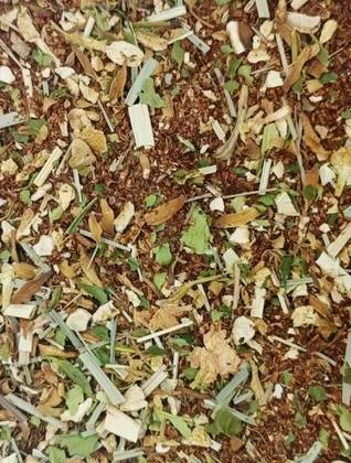 Garlic & Parsley 100 Grs
