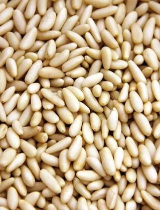 Portuguese Pine Nut 1st Choice (PORTUGAL) 25 Grs