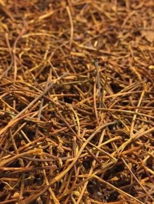 Cherry Stems 50 Grs
