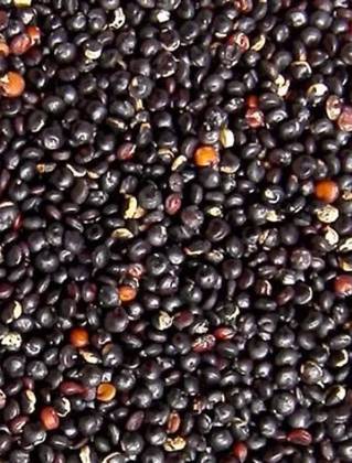 Black Quinoa Seeds 250 Grs
