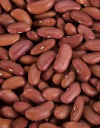 Dried Red Kidney Beans 500 Grs