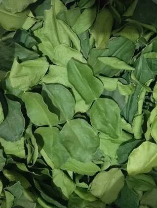 Kaffir Lime Leaves 25 Grs