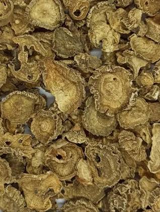 Devil's Claw 25 Grs