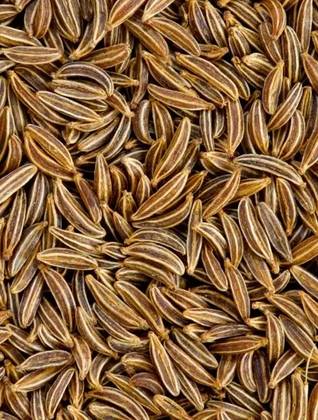 Caraway Seeds 100 Grs