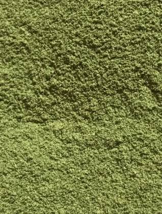 Spinach Powder 50 Grs
