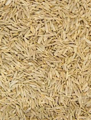 Cumin Seeds 50 Grs