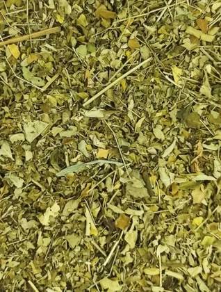 Moringa Oleifera Leaves 50 Grs