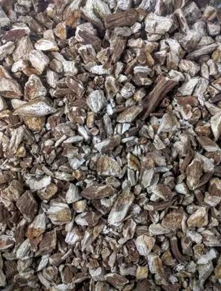 Burdock Root 50 Grs
