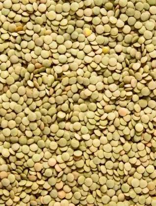 Dried Green Lentils 500 Grs