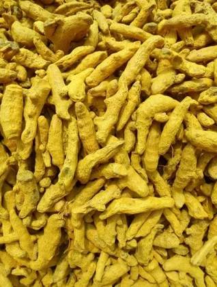 Turmeric - Indian Saffron Root 100 Grs