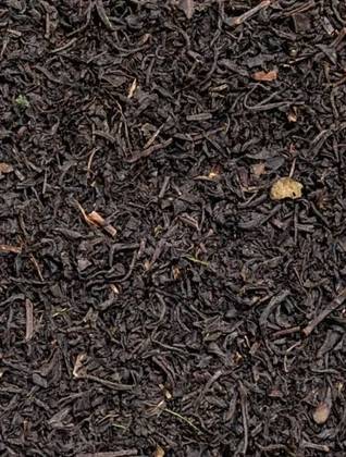 Black Tea Ceylon FBOP 50 Grs