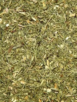 Horsetail Plant 50 Grs
