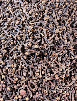 Indian Clove Grain 25 Grs