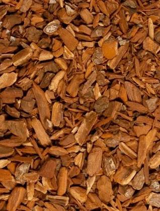 Red Cinchona Bark 50 Grs