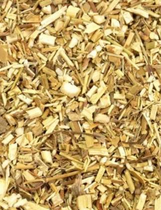 Fennel Plant 100 Grs