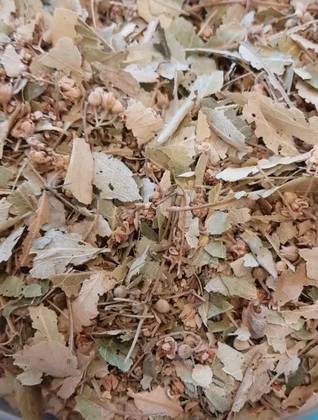 Linden Flower/Leaves 25 Grs