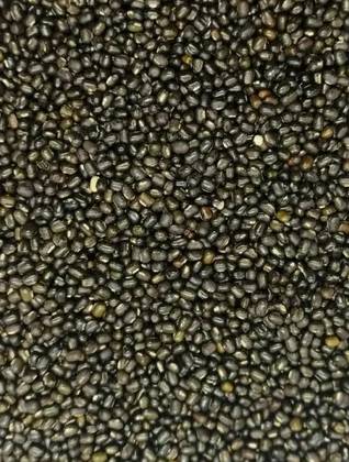 Dried Black Lentils 500 Grs