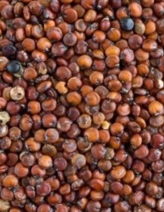 Red Quinoa Seeds 250 Grs