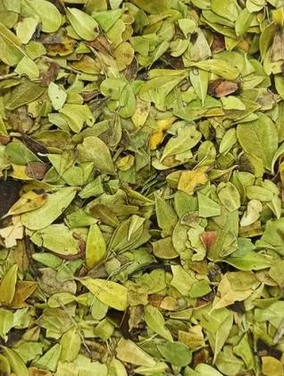 Bearberry Leaves 50 Grs