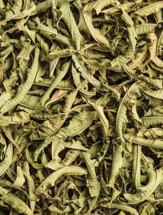 Lemon Verbena 50 Grs