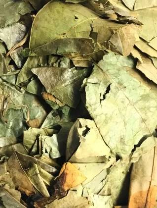 Soursop Annona Leaves 25 Grs
