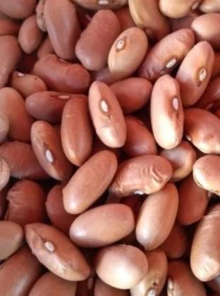 Dried Butter Beans 500 Grs