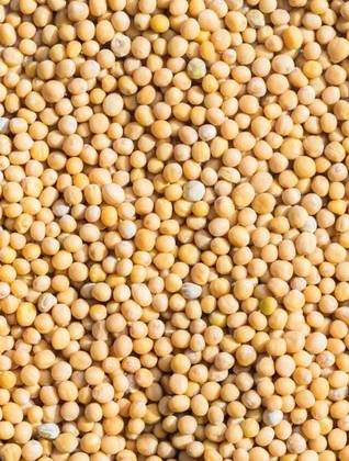 Yellow Mustard Seeds 150 Grs