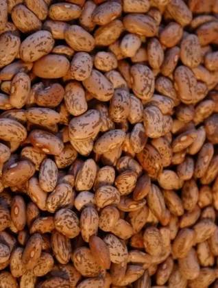 Dried 'Catarino' Beans 500 Grs