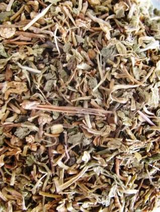 Gotu Kola Plant 50 Grs