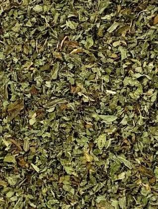 Lemon Balm Plant 50 Grs