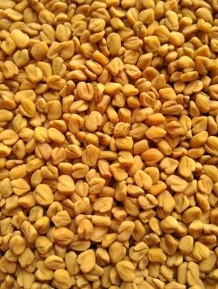 Fenugreek Seeds 100 Grs