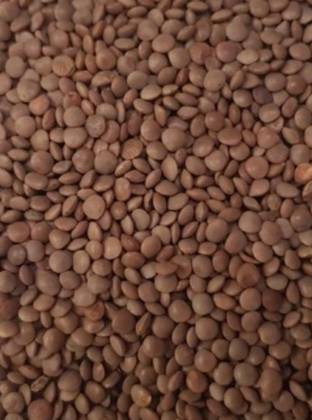 Dried Brown Lentils 500 Grs