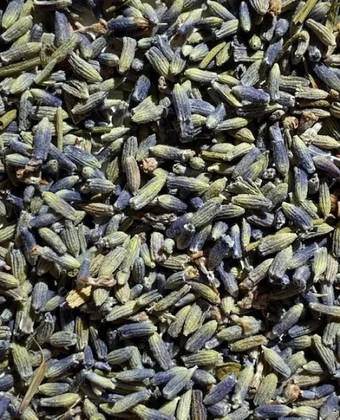 Lavender 50 Grs