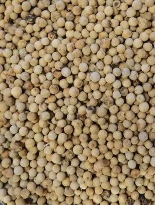 White Pepper Grain 50 Grs