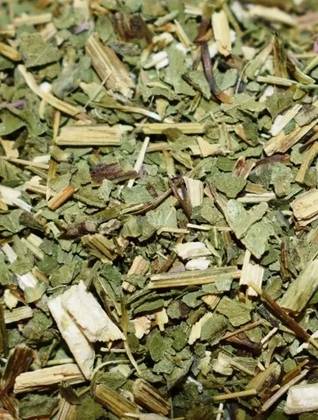Echinacea Plant 50 Grs