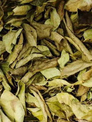 Curry Leaves 25 Grs