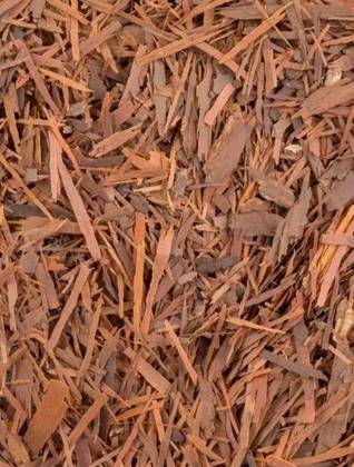 Pau D'Arco Lapacho Bark 50 Grs