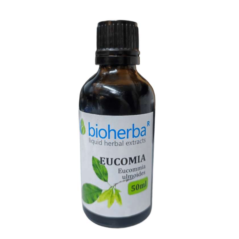 9993202 Eucommia Tincture, 50 ml, Bioherba