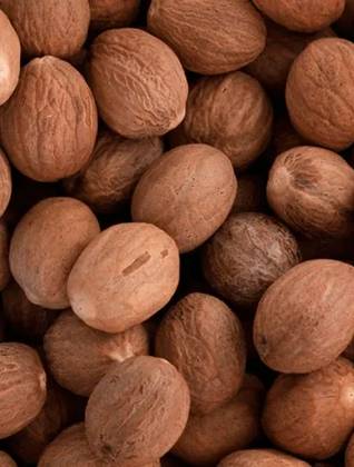 Nutmeg Fruit 25 Grs
