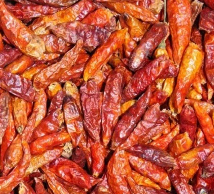Bird's Eye Chili 25 Grs
