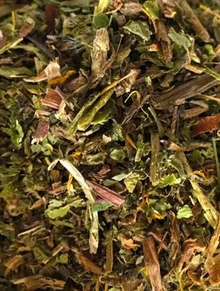 Dandelion Taraxacum Plant 50 Grs