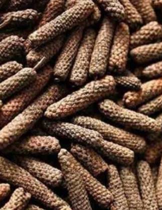 Long Pepper from Java 25 Grs