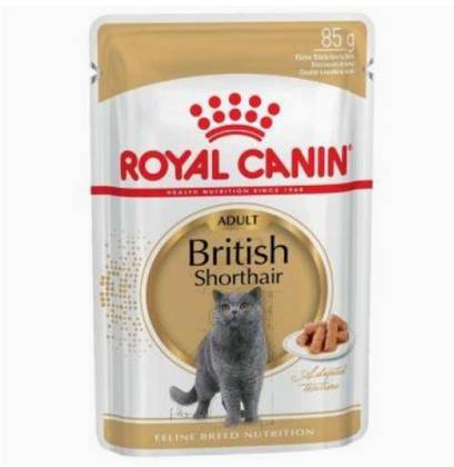 Royal Canin Adult British Shorthair Pouch with Gravy