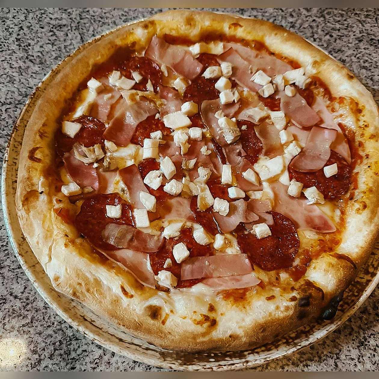 Carnivora
