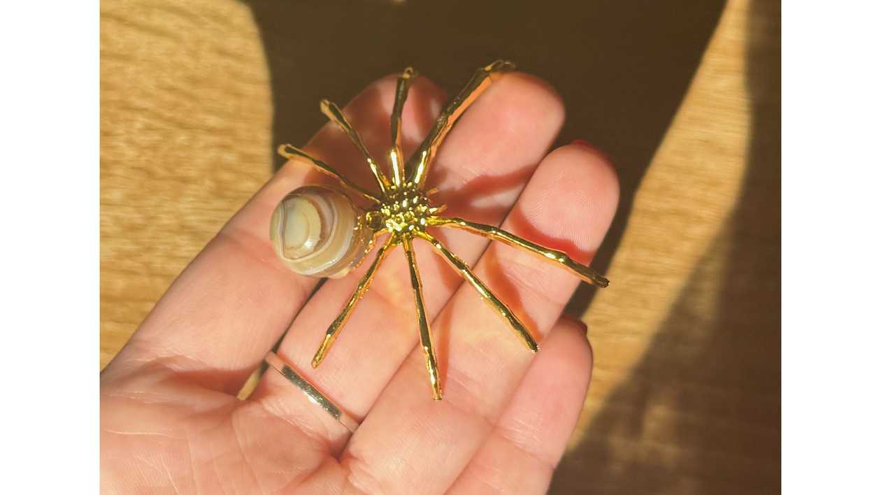 🤎Radiant Bands Spider🕷️